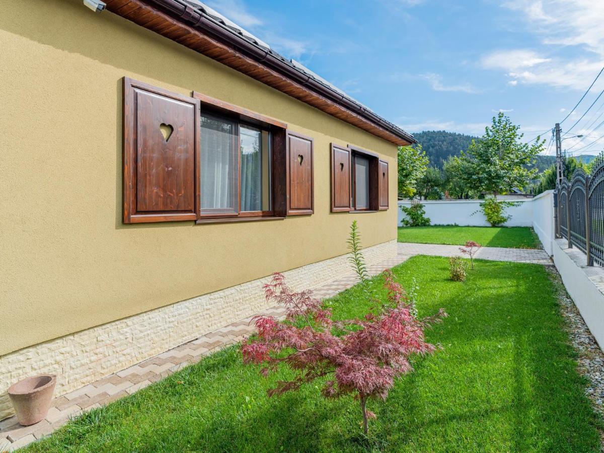 ホテル Casa Saraste Rîşnov エクステリア 写真